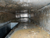 accountable_cleaning004009.jpg